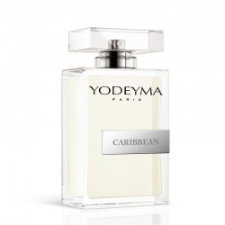 Yodeyma discount fragrance list